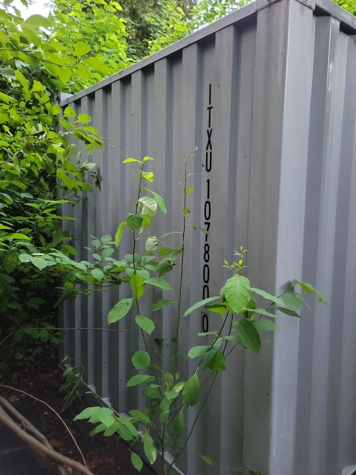 20Ft Steel Shipping Container/Storage Container - Image 3
